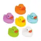 Patinhos de Banho Colors, Buba, Multicor em oferta