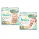 Fralda Pampers Premium Care Jumbo ( M, G ) em oferta