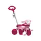 Triciclo Zootico com Empurrador Bandeirante em oferta