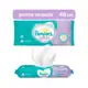 Lenço Umedecido Pampers - Aroma de Lavanda 48 Unidades em oferta