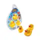 Conjunto de Patinhos Pais e Filhos em oferta