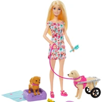 Imagem da promoção Barbie Passeio de Animais de Estimação com Cadeira de Rodas, 1 Boneca, 2 Cac