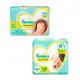 Fralda Pampers Premium Care RN ou RN+ 36 unidades em oferta