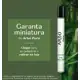 Arbo Puro - Brinde Boticário em oferta
