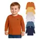 Kit 4 Camiseta Manga Longa Bebe Menino Infantil De Algodão em oferta